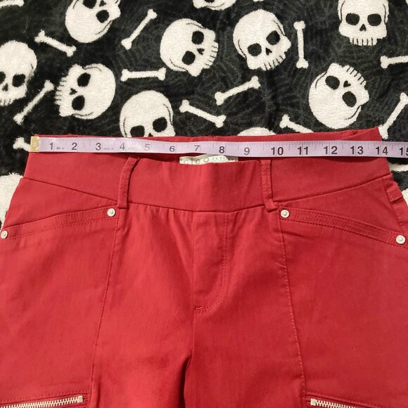 CLEO PETITES Brick red tappered straight leg pants w/ zipper pockets ~ XS SMALL - Picture 6 of 11